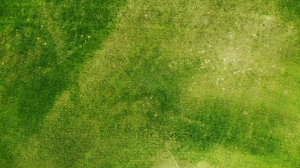 Aérea Fondo Textura Hierba Verde — Foto de Stock