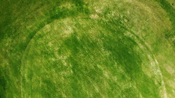 Aérea Fondo Textura Hierba Verde — Foto de Stock