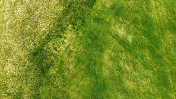 Aéreo Grama Verde Textura Fundo — Fotografia de Stock