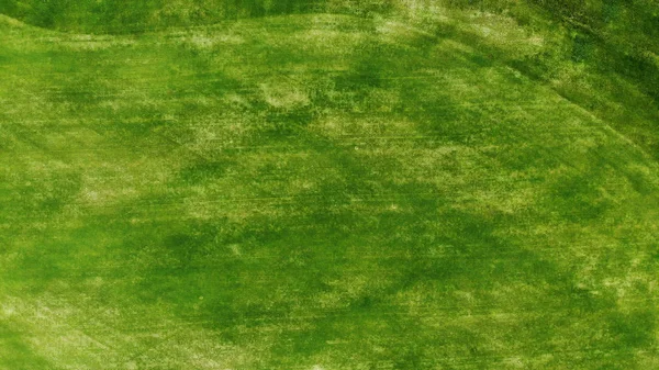 Antenowe Zielona Trawa Tekstura Tło — Zdjęcie stockowe