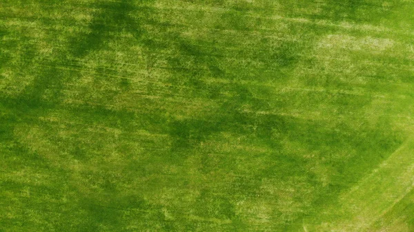Antenn Grönt Gräs Textur Bakgrund — Stockfoto