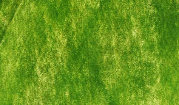 Aérea Fondo Textura Hierba Verde —  Fotos de Stock