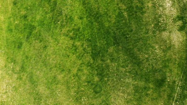 Aéreo Grama Verde Textura Fundo — Fotografia de Stock