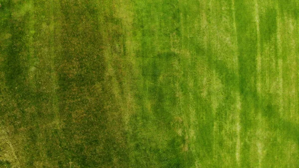 Antenne Grüne Gras Textur Hintergrund — Stockfoto