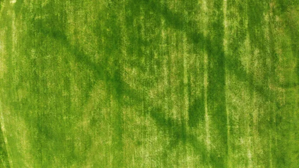 Aéreo Grama Verde Textura Fundo — Fotografia de Stock
