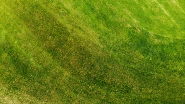 Antenn Grönt Gräs Textur Bakgrund — Stockfoto