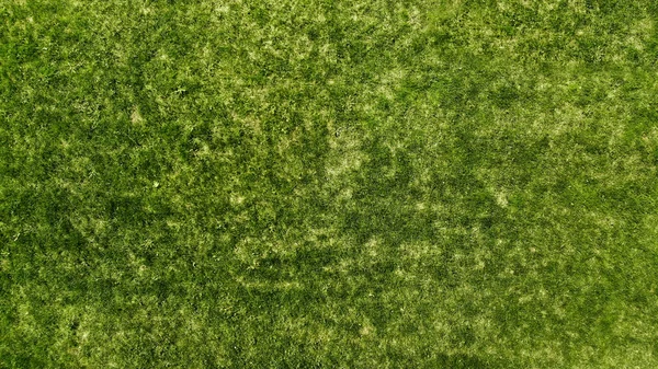 Aérien Herbe Verte Texture Fond Gazon Naturel — Photo