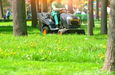 İşçi ile profesyonel çim biçme bir parkta çim kesti