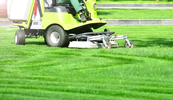 完全修剪的绿色草坪 使用专业割草机修剪绿草 — 图库照片