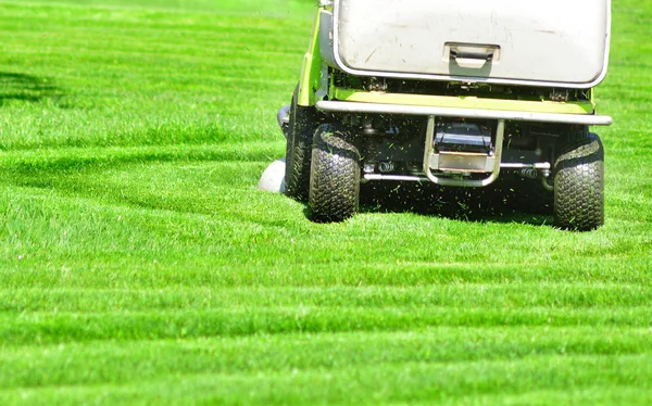 Erba Verde Falciatura Con Macchina Tosaerba Professionale — Foto Stock