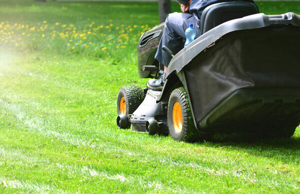 Green grass mowing with lawn mower