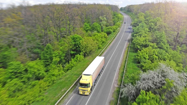 Transport logistics. Truck on intercity highway. Green forest between road.