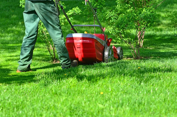 Landscaping and lawn care in a garden. Lawn mower grass trimming.