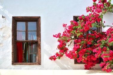 Peri evi. Otantik evde Vintage ahşap pencere çerçeveleri. Çiçeklenme dalları pencerenin üzerinde asılı. Ev cephe dekorasyonunda Akdeniz tarzı. 