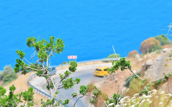 Mediterranean landscape and road between mountains and sea. Blurred. Focus on the bushes in front.