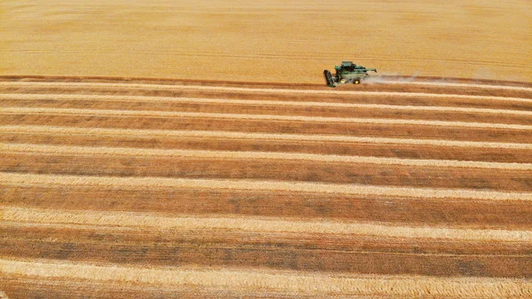 Harvester Een Veld Oogst Tarwe Luchtfoto Van Drone — Stockfoto