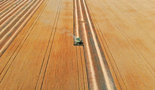 Raccoglitore Campo Che Raccoglie Grano Vista Aerea Dal Drone — Foto Stock