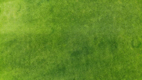 Letecký Zelená Tráva Textury Pozadí Pohled Shora Dronu — Stock fotografie