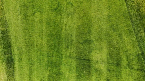 Aéreo Fundo Textura Grama Verde Vista Superior Drone — Fotografia de Stock