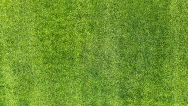 绿色草质背景 无人机俯瞰 — 图库照片