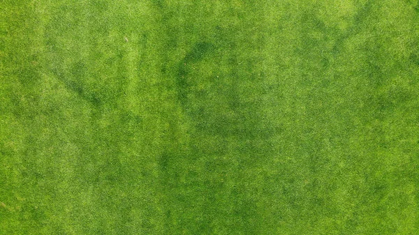 Воздушный Зеленый Фон Травы Текстуры Вид Сверху Беспилотника — стоковое фото