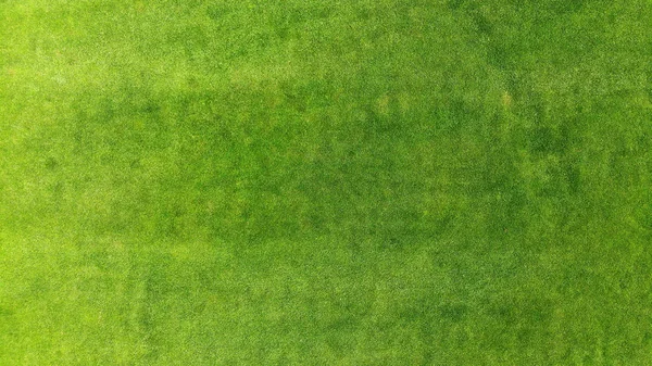 Aérea Fondo Textura Hierba Verde Vista Superior Desde Dron — Foto de Stock
