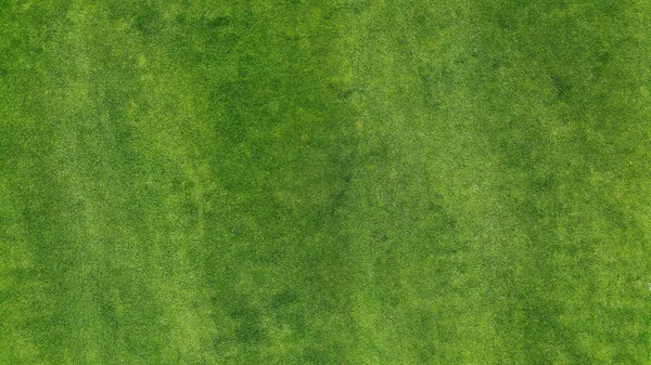 Antenne Grünes Gras Textur Hintergrund Draufsicht Von Der Drohne — Stockfoto