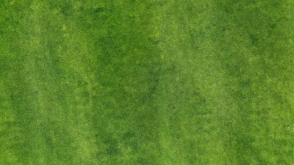 Aerial Green Grass Texture Background Top View Drone — Stock Photo, Image