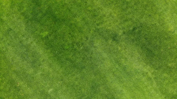 Aerial Green Grass Lawn Texture Background Top View Drone — Stock Photo, Image