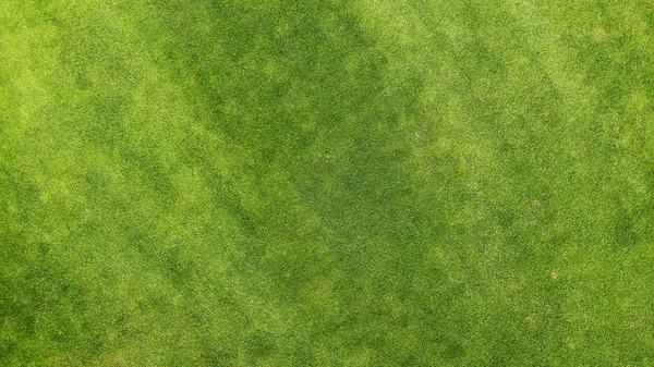 Havadan. Yeşil çimen dokusu. İHA 'dan üst görünüm. 
