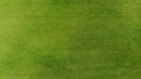 Aerial Green Grass Texture Background Top View Drone — Stock Photo, Image