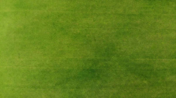Aerial Green Grass Texture Background Top View Drone — Stock Photo, Image