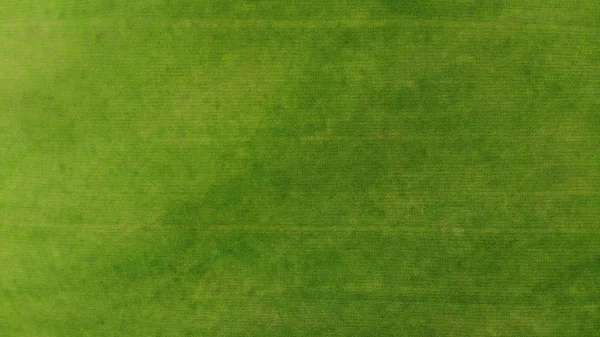 Aerial Green Grass Texture Background Top View Drone — Stock Photo, Image