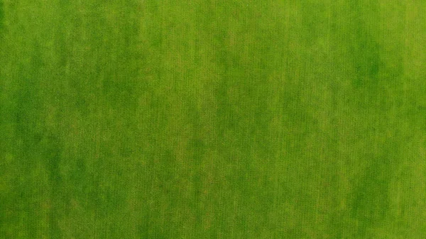 空中だ 緑の草の質感の背景 ドローンからの眺め — ストック写真