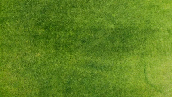 Aerial Green Grass Texture Background Top View Drone — Stock Photo, Image