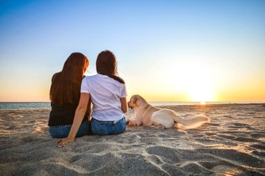 İki kız arkadaş ve köpek ile dostluk kavramı bir plajda birlikte oturan ve gün batımı zevk