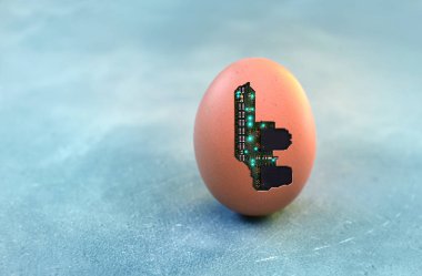 Cybernetic organism concept with semiconductor microchip inside the egg shell. Copy space. clipart