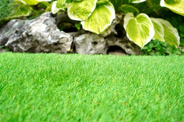 Beautiful Artificial Grass Yard Comfort Home Background Copy Space — Stock Photo, Image