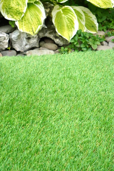 Beautiful Artificial Grass Yard Comfort Home Vertical — Stock Photo, Image