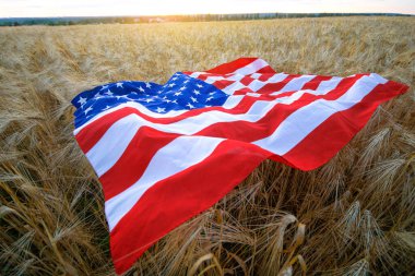 Buğdayda Amerikan bayrağı var.