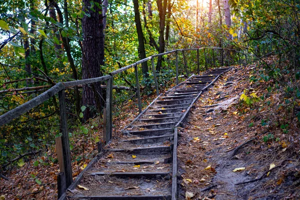 Path in natural parkland. Scenic autumn forest road with old wooden steps. The path goes up the mountain. Hiking on the fresh air background.