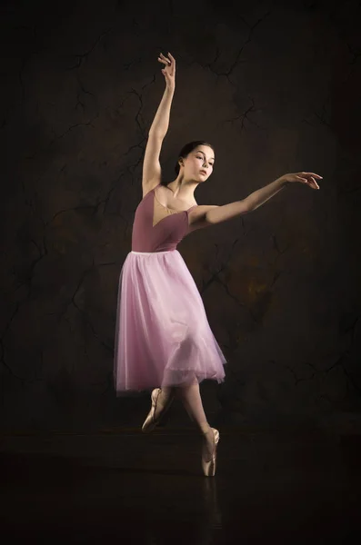 Une fille élancée dans une jupe rose et un ballet de danse beige . — Photo