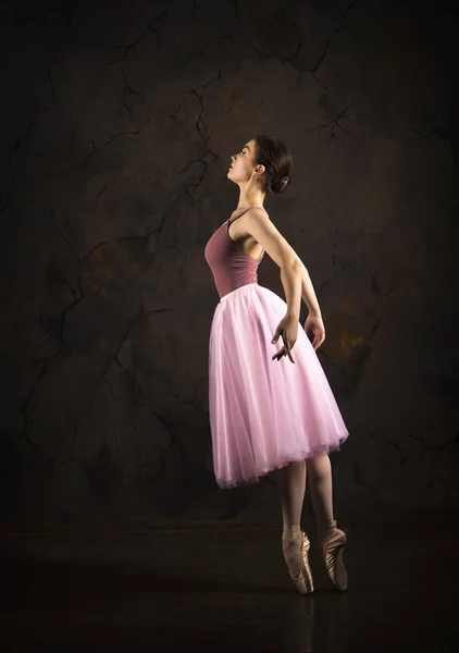 Una Ragazza Snella Con Una Gonna Rosa Balletto Beige Studio — Foto Stock