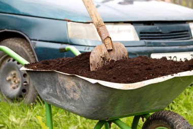 Sepeti humus ile bahçe ve kaşık kürek