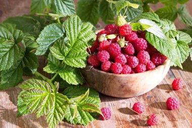 Hasır sepette yabani ahududu hasadı. Berry yaz arka plan