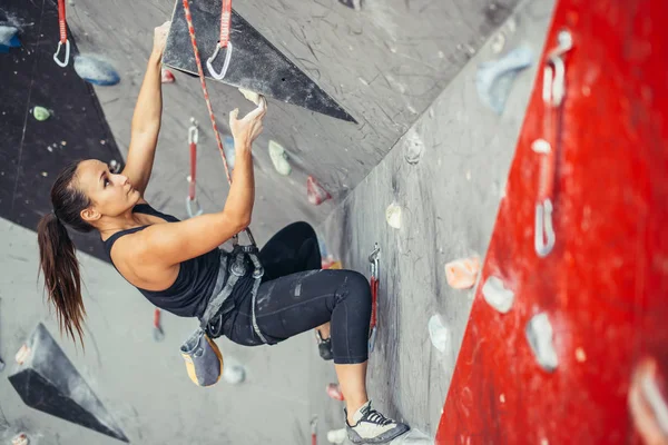 Sporcu kız spor salonundaki kaya tırmanışı duvarına tırmanıyor. — Stok fotoğraf