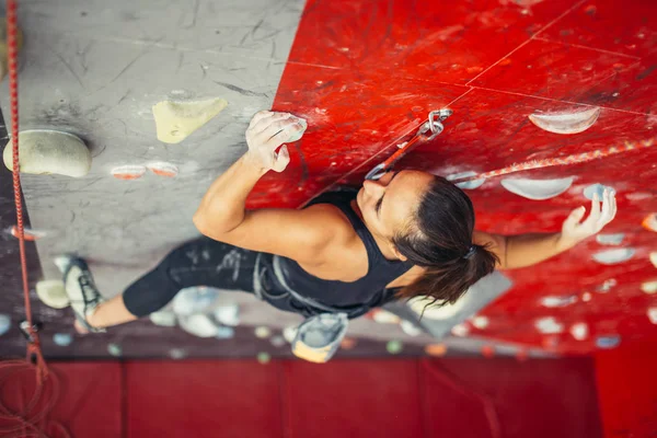 Hermosa joven fuerte mujer escalada en rojo artificial vista superior de la pared. —  Fotos de Stock