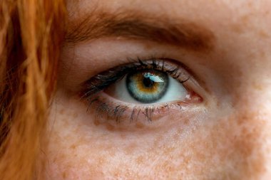 Close up macro face of young red ginger freckled woman with beautiful green eyes clipart