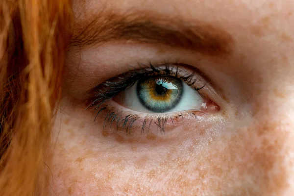 Primer plano macro cara de joven pelirroja pecosa mujer con hermosos ojos verdes Imagen De Stock