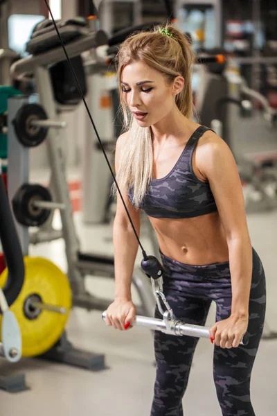 eğitim programı ile kürek makine.